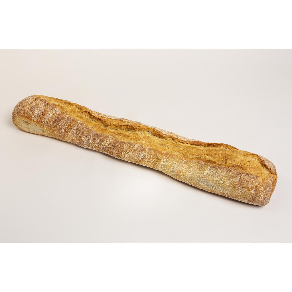 Bagatta Precocida